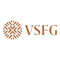 VSFG
