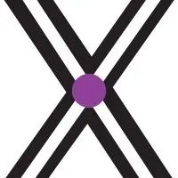 Exhibit City News