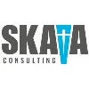 SKAVA Consulting SKAVA Consulting