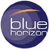 Blue Horizon Services & Oil Field Maintenance LLC Blue Horizon Services & Oil Field Maintenance LLC