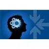 Levin Consulting Group Inc. Levin Consulting Group Inc.