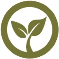 Sprout Therapy Group