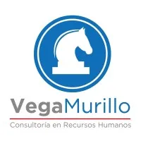 VM Consultores en Recursos Humanos