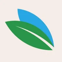 Bonet Madeiras e Papéis