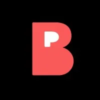 Brain Partners Brain Partners