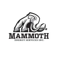 Mammoth Energy Services