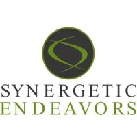 Synergetic Endeavors