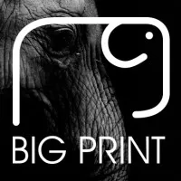 BIG PRINT