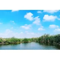 Wellbeing St Paul, United States