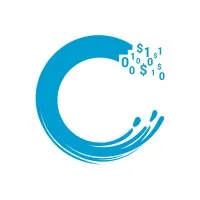 C-Level Analytics