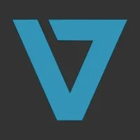 VigTech Consulting