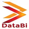 DataBi Solutions