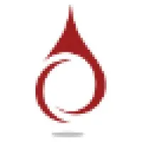 Spirit Consulting