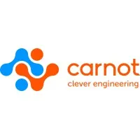 The Carnot Group