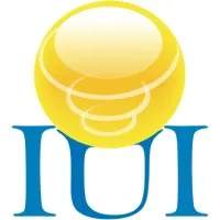 Information Unlimited Inc.