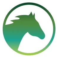 Dark Horse Consulting Group Inc.