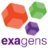 exagens exagens