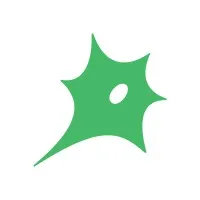 Connectome Kyiv, Ukraine