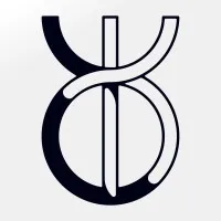 Standard Practice AI