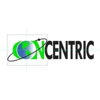 CONCENTRIC GROUP LLC CONCENTRIC GROUP LLC