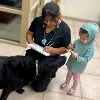 Animal Emergency Clinic of the High Desert