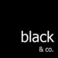 Black&Co Recruitment Black&Co Recruitment
