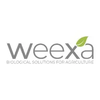 WeeXa