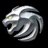 Lionoptic Inc. Lionoptic Inc.