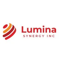 Lumina Synergy Inc Lumina Synergy Inc