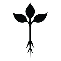 Roots Natural Kitchen