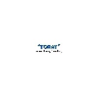 Indonesia Toray Synthetics, PT