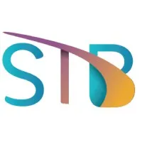 Safe Technical Bridges for IT