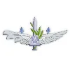 Talpiot Program Talpiot Program