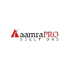 aamra Pro Solutions aamra Pro Solutions