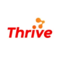 Thrive - IT Consultant 