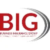 Business Insurance Group Business Insurance Group