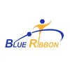 Blue Ribbon Global Technologies Blue Ribbon Global Technologies