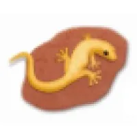 Archae-aus Pty Ltd