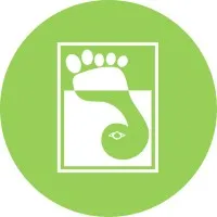 Step & Spine Physical Therapy