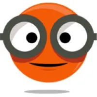 Codeholic IT Services