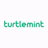 turtlemint digital partner