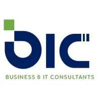 Business & IT Consultants LLC Business & IT Consultants LLC