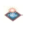 FUTURE MANAGEMENT CONSULT INTERNATIONAL FUTURE MANAGEMENT CONSULT INTERNATIONAL