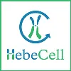 HebeCell Corp HebeCell Corp