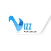 Vizz Web Solutions Vizz Web Solutions