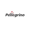 Pellegrino Autopeças e Motopeças