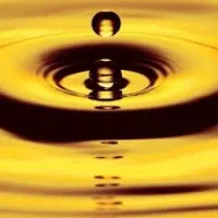 Precipitate Gold Corp