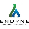 Endyne Inc Endyne Inc