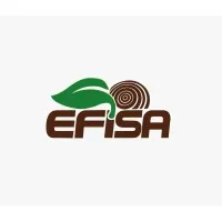 EFISA