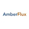 AmberFlux EdgeAI Private Limited